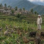 जनप्रतिनिधियों के स्तर से ठोस पहल न होने से काश्तकारों में नाराजगी